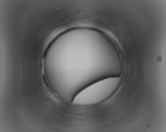 X0000093401223200710120849