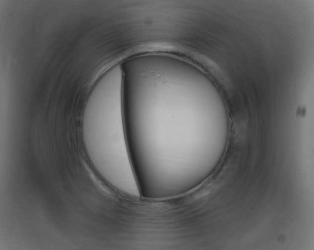 X0000093401225200710120849