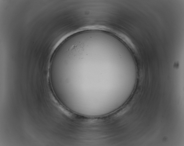 X0000093401228200710120849