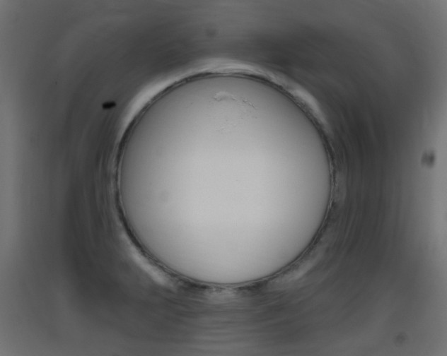 X0000093401231200710120849
