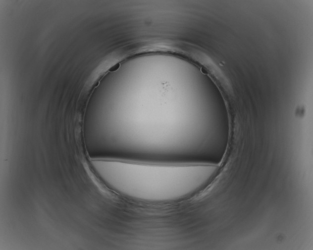 X0000093401233200710120849