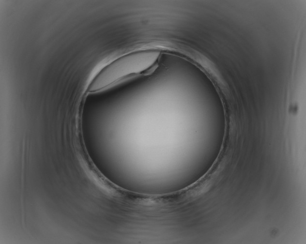 X0000093401234200710120849