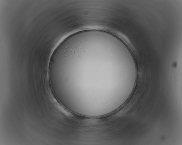 X0000093401236200710120849
