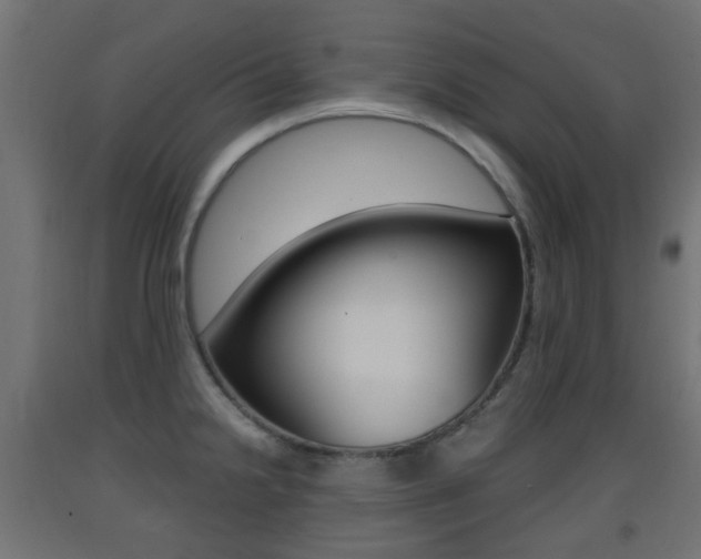 X0000093401238200710120849