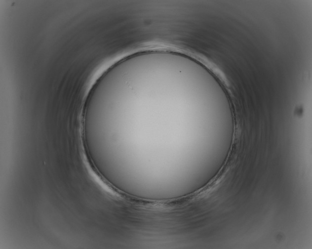 X0000093401239200710120849