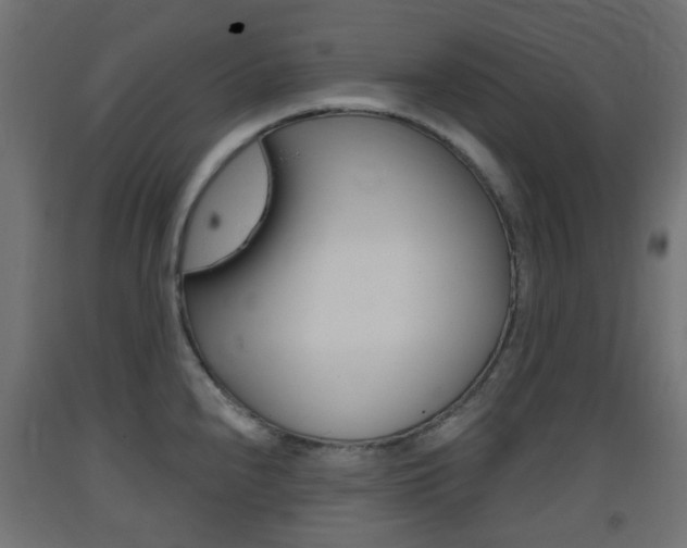X0000093401240200710120849