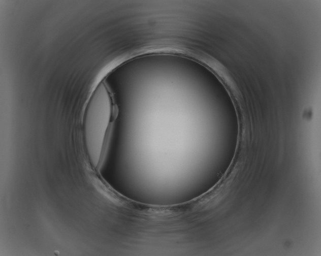 X0000093401242200710120849
