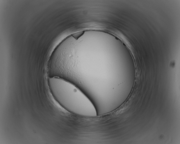 X0000093401243200710120849