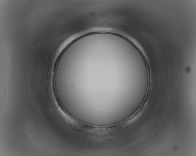 X0000093401245200710120849