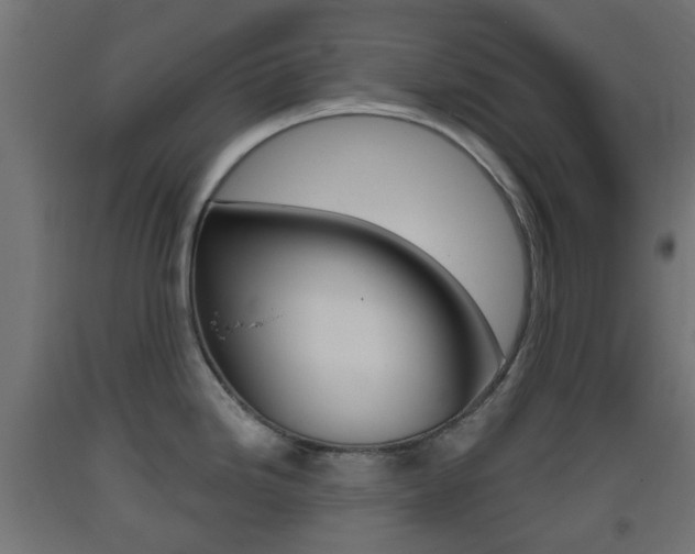 X0000093401246200710120849