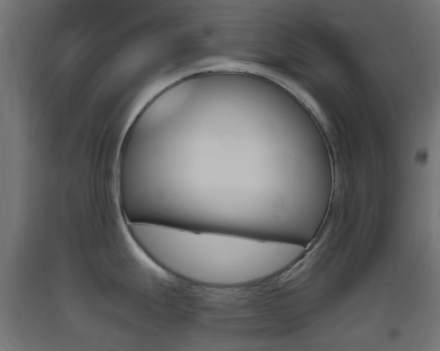 X0000093401247200710120849