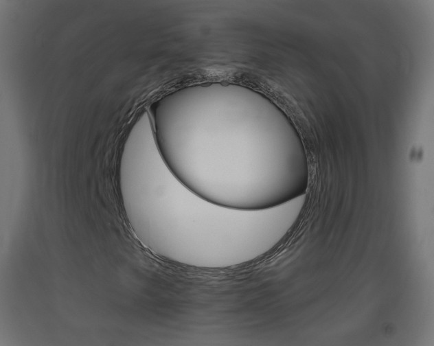 X0000093401249200710120848
