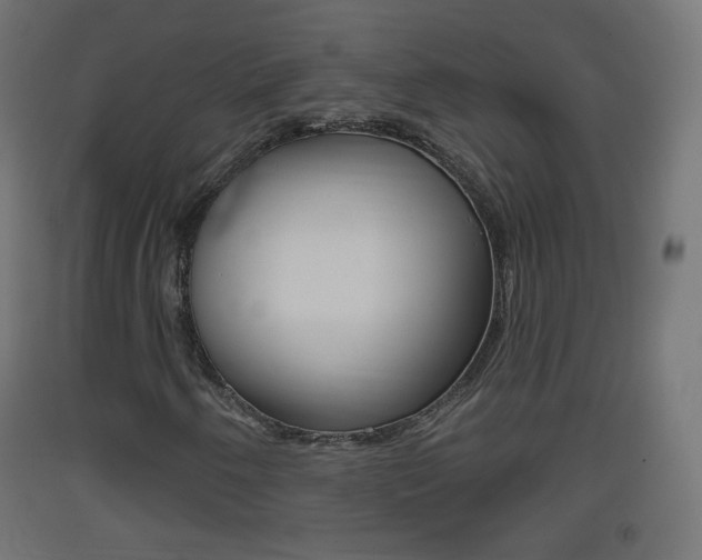 X0000093401250200710120848