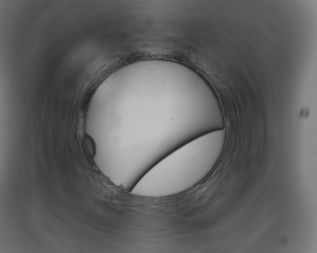 X0000093401251200710120848