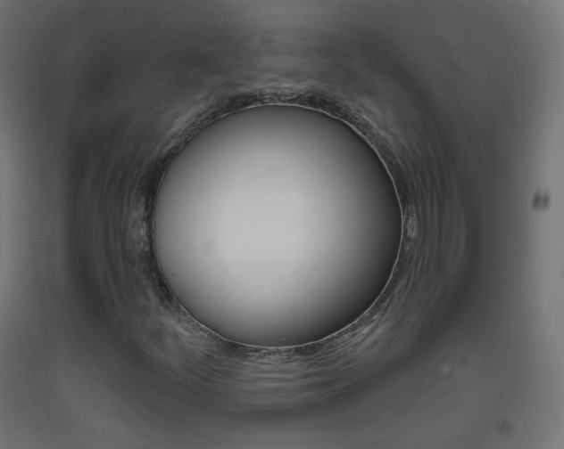 X0000093401252200710120848