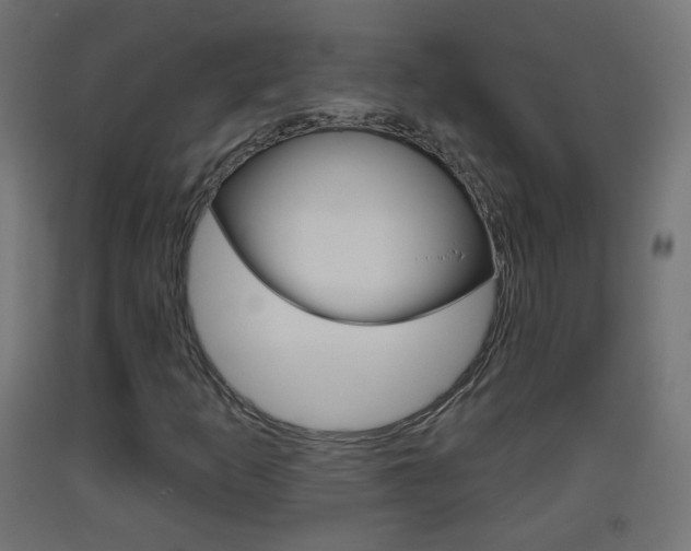 X0000093401253200710120848