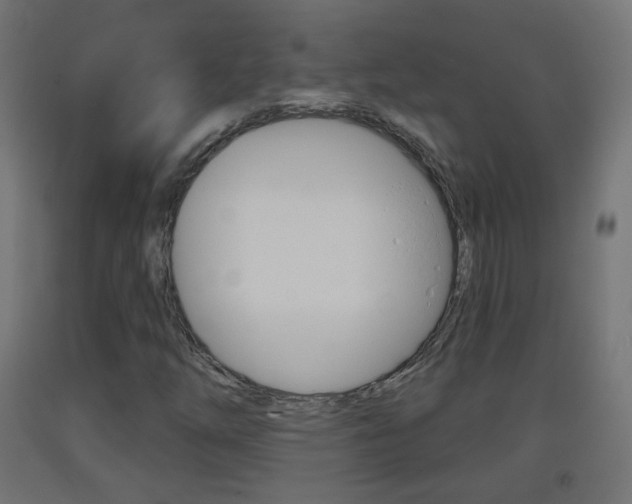 X0000093401254200710120848