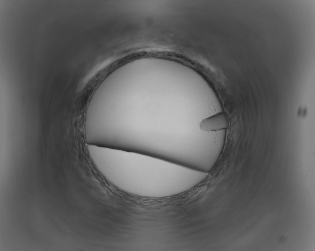 X0000093401255200710120848
