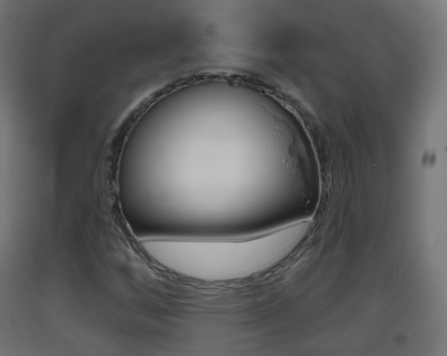 X0000093401256200710120848