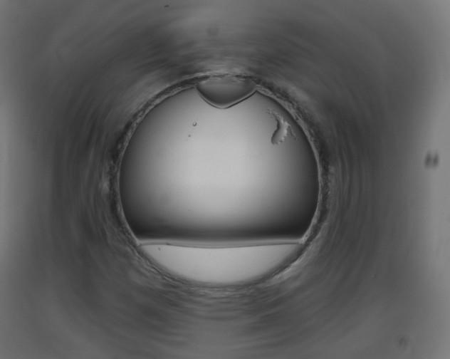 X0000093401257200710120848