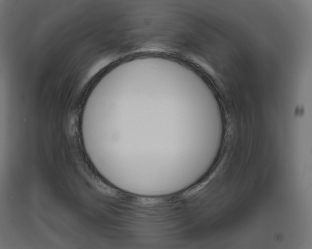X0000093401258200710120848