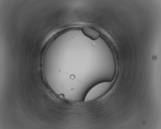 X0000093401259200710120848
