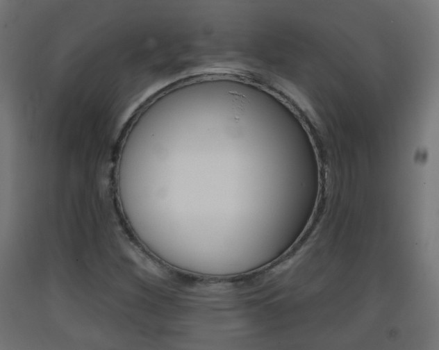 X0000093401260200710120848