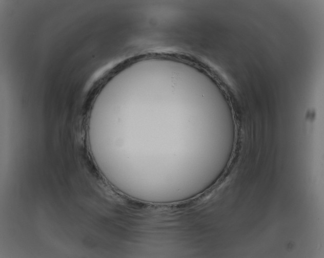 X0000093401262200710120848