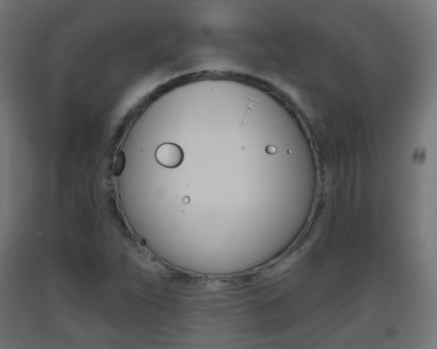 X0000093401263200710120848