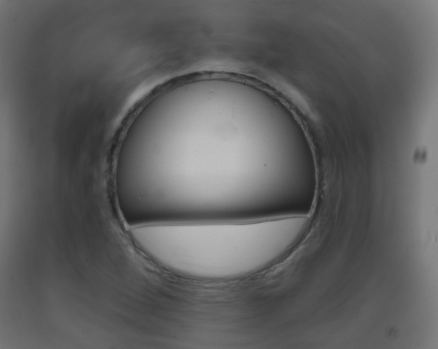 X0000093401264200710120848