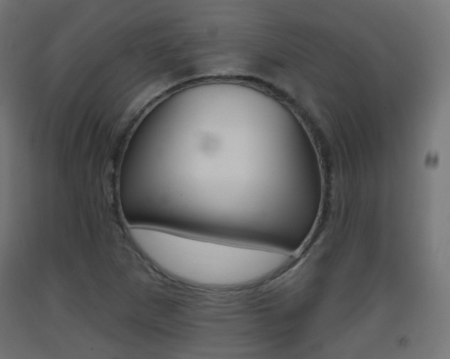 X0000093401265200710120848