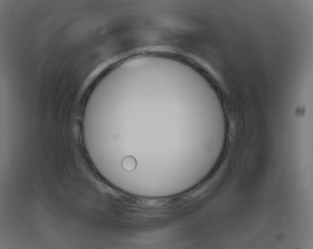 X0000093401266200710120848