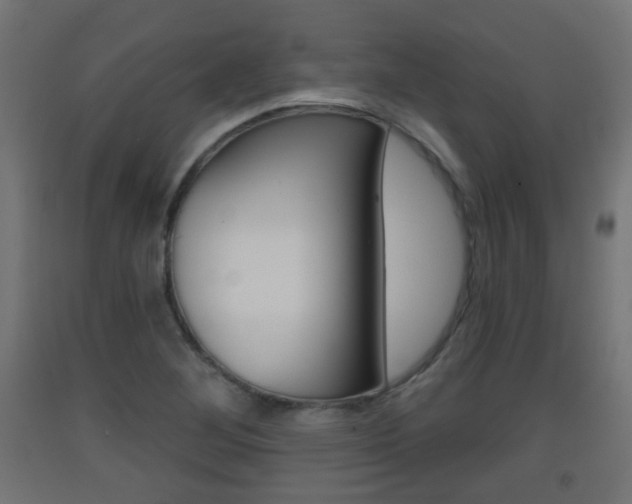 X0000093401268200710120848