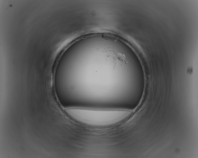 X0000093401269200710120848