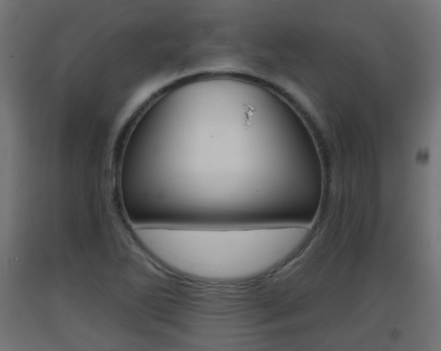 X0000093401270200710120848