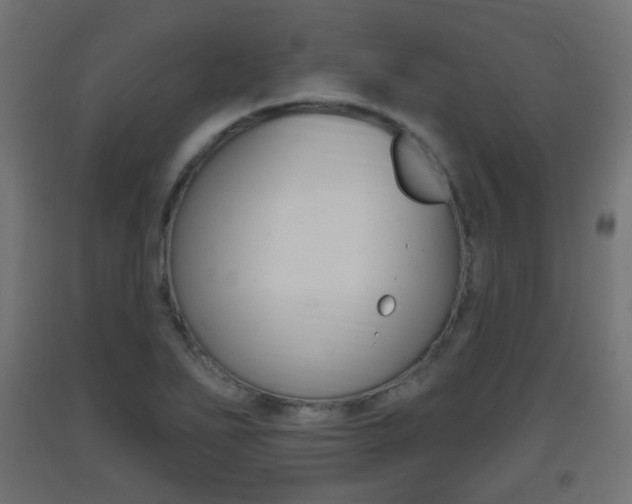 X0000093401271200710120848