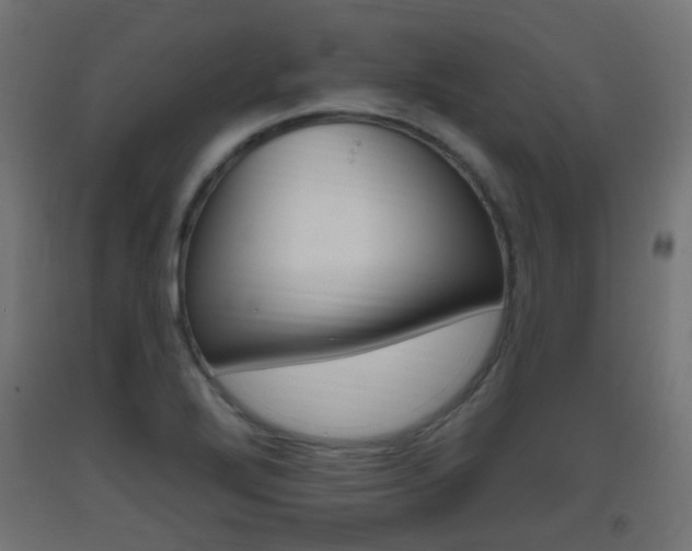 X0000093401272200710120848