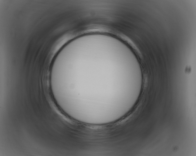 X0000093401274200710120848
