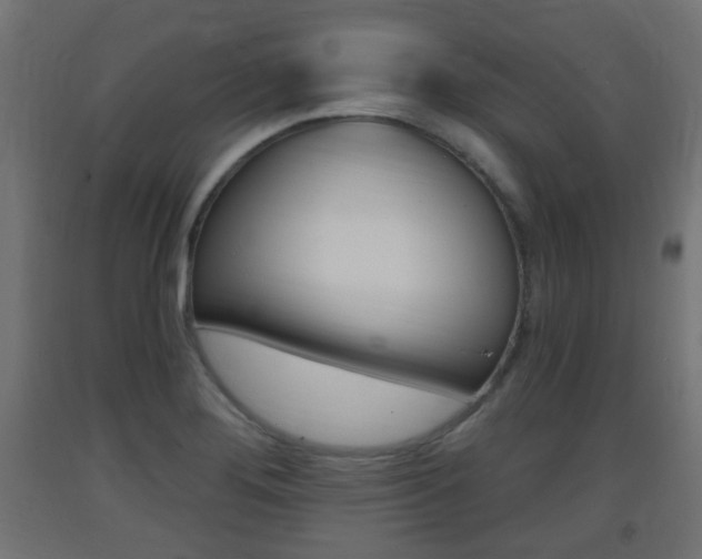 X0000093401276200710120848