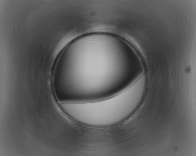 X0000093401277200710120848