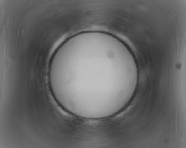 X0000093401278200710120848