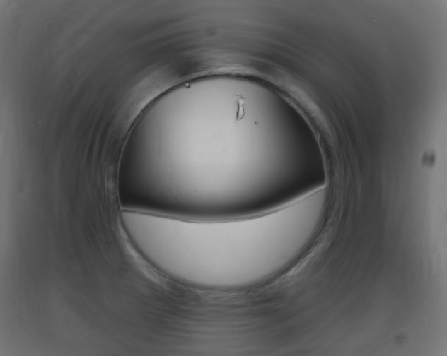 X0000093401281200710120848
