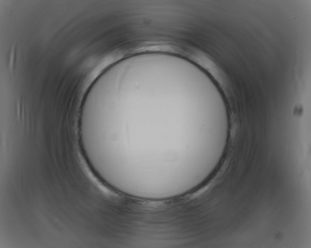 X0000093401282200710120848