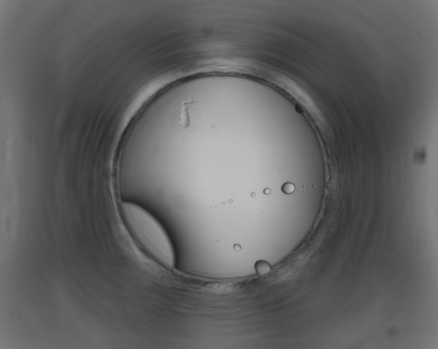 X0000093401283200710120848