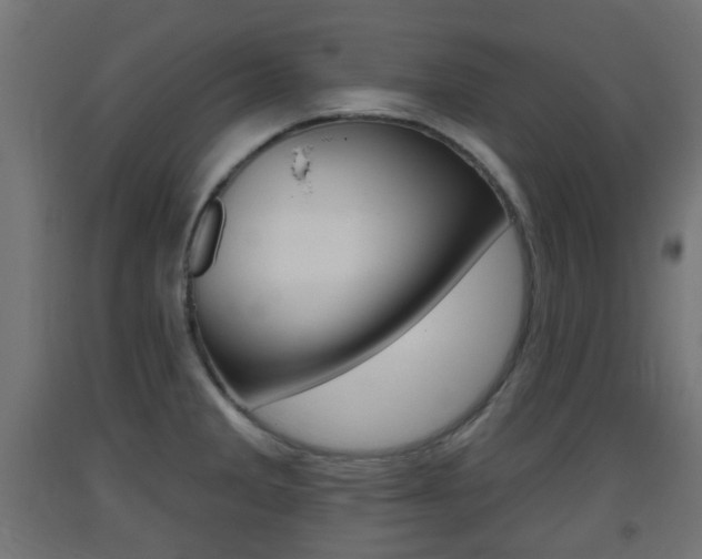 X0000093401285200710120848