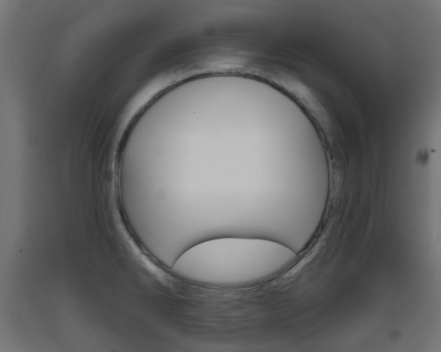 X0000093401286200710120848