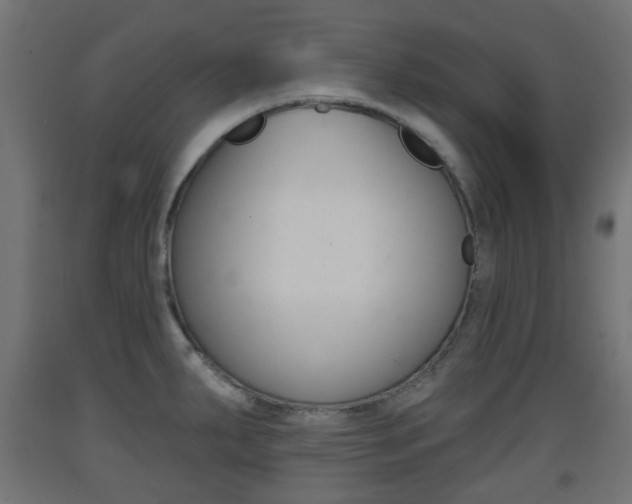 X0000093401287200710120848