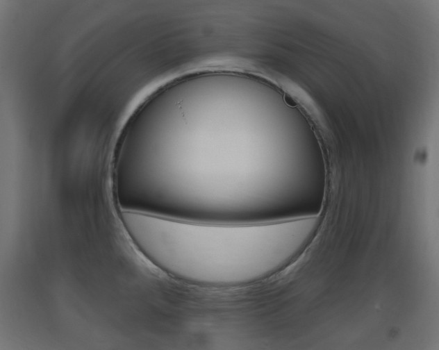 X0000093401288200710120848