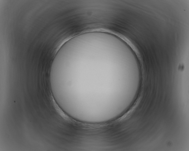 X0000093401289200710120848