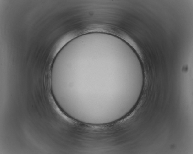 X0000093401290200710120848